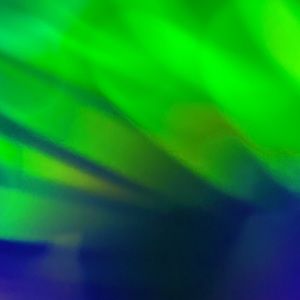 Meet your Posher, Tricia